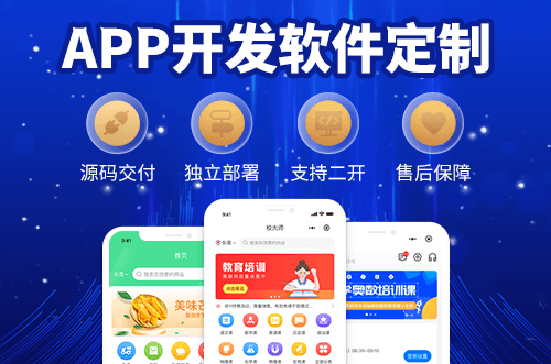 APP开发定制团队